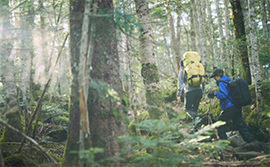 星の恵みポイント3