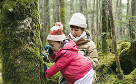 苔の恵みポイント1