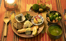 苔の恵みポイント2